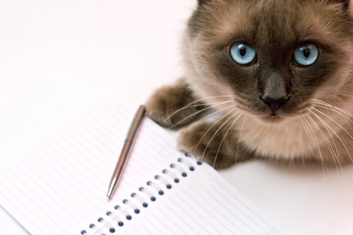 ノートとペンとこちらを見つめる猫