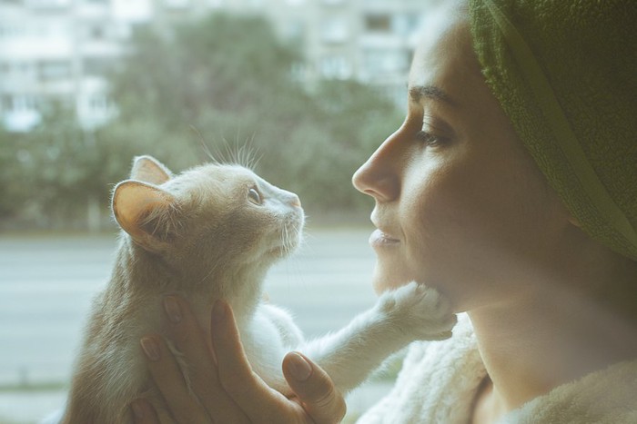 顔を近づけて見つめ合う女性と猫