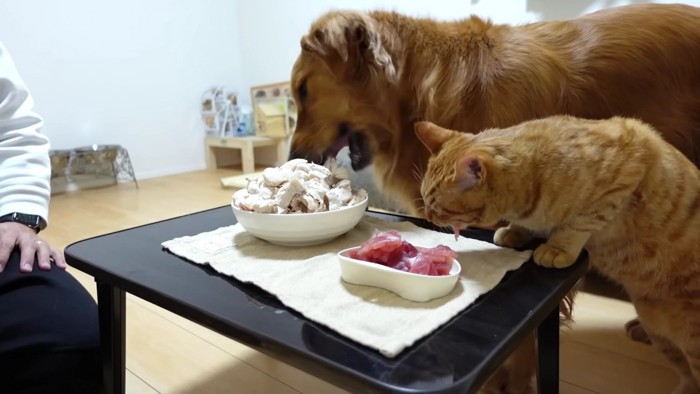 順調に食べ進めて…