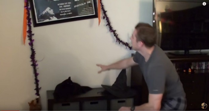 壁のステンシルを引っ張る猫