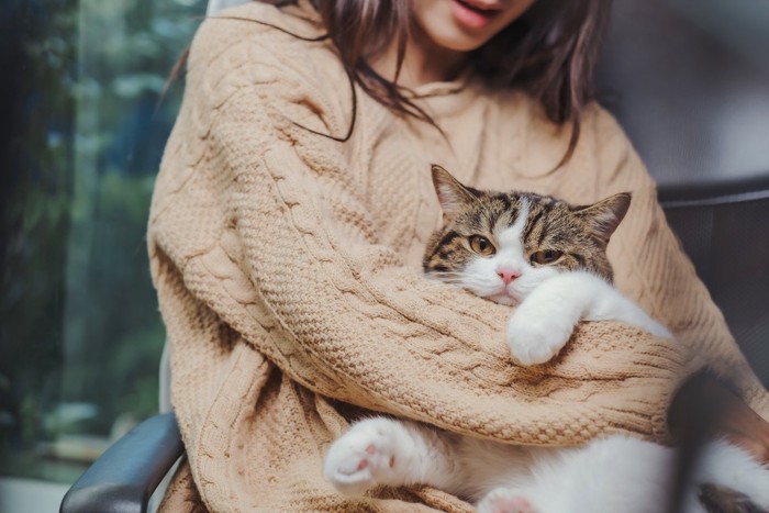 飼い主に抱きかかえられる猫