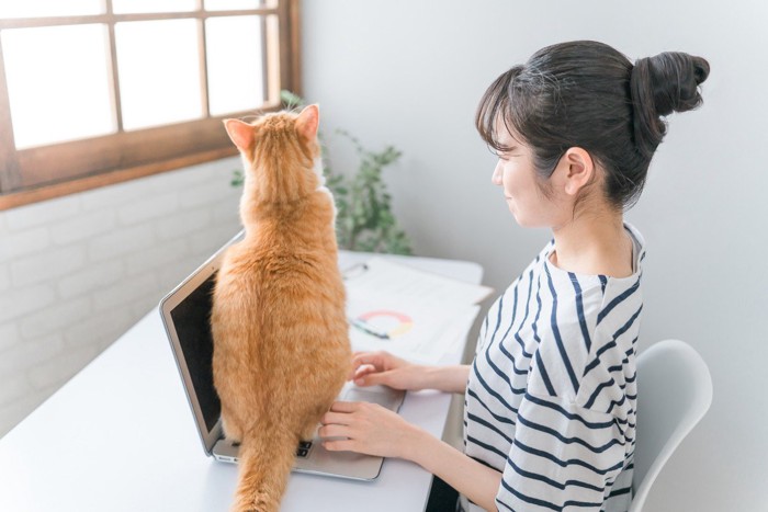 パソコン作業をする女性とキーボードに乗る猫