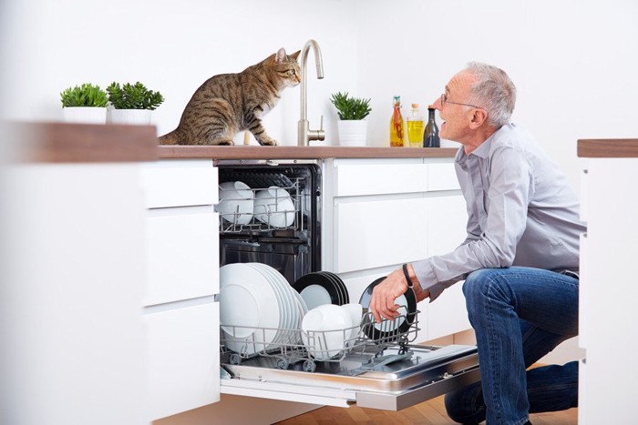 食洗機の引き出しを開ける男性を見つめる猫