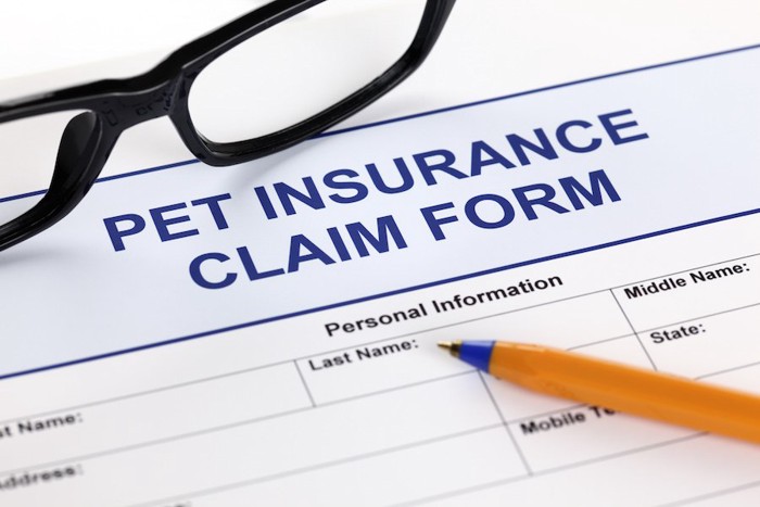 ペット保険の申込書