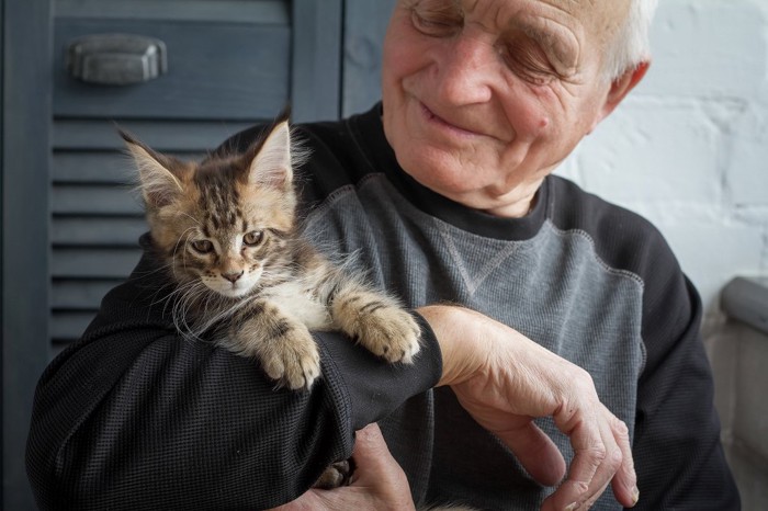 おじいさんに抱っこされている猫
