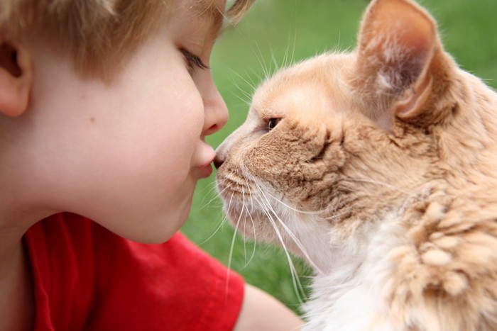 猫とキスする子供