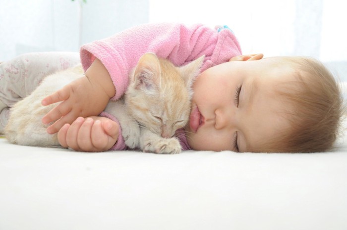 一緒に眠っている赤ちゃんと猫
