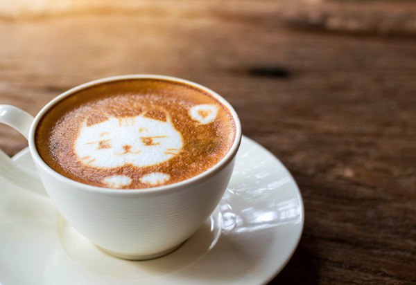 猫が描かれたコーヒー入りカップ