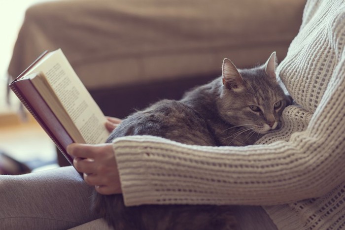 本を読む人の膝で眠る猫