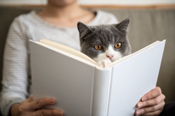 飼い主と一緒に本を読む猫