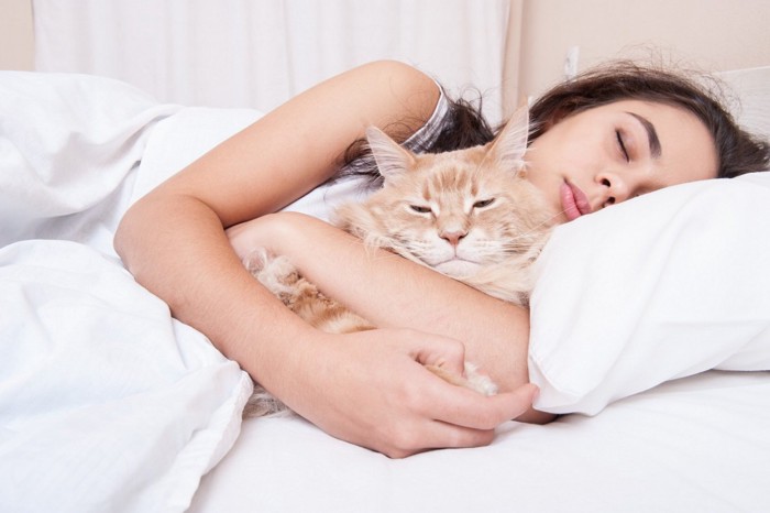 女性に添い寝する猫