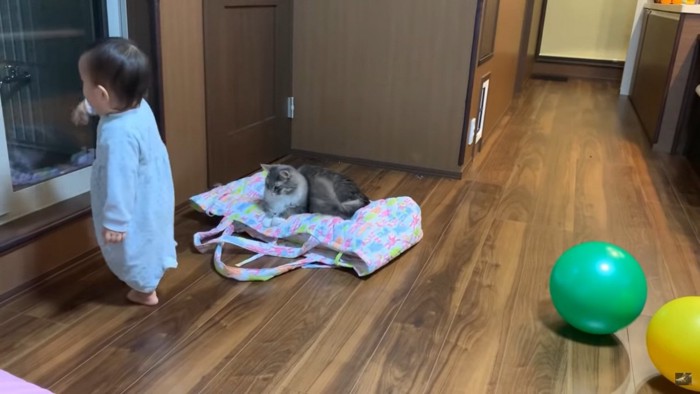 猫の乗ったバッグから離れる赤ちゃん