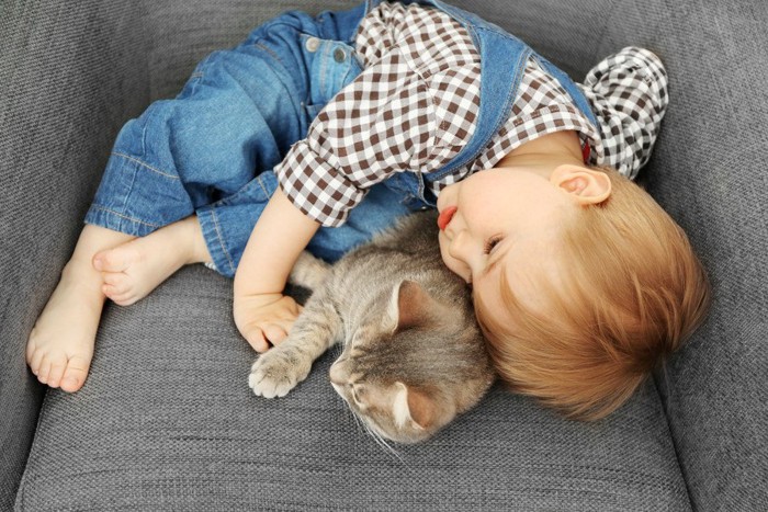 男の子と寝る猫