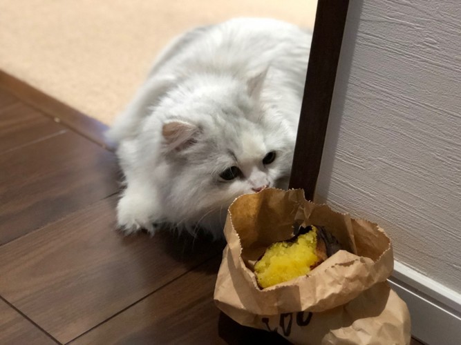 焼き芋と猫