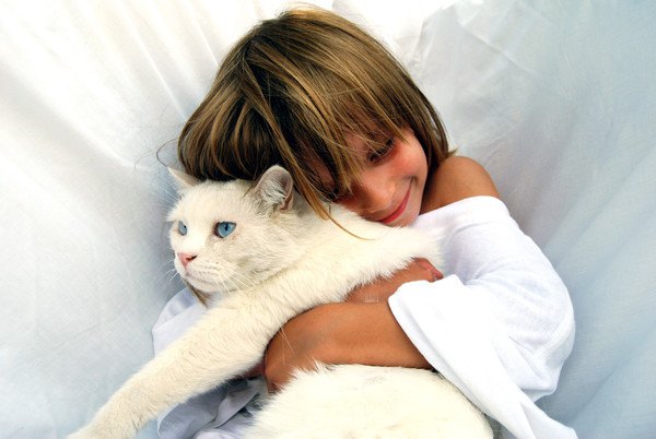 白猫を抱き締める女の子