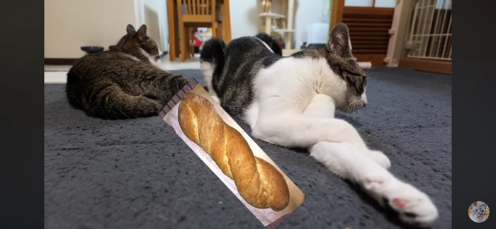 長いパン