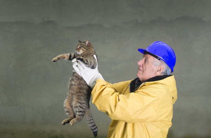 ヘルメットをした男性に抱き上げられる猫