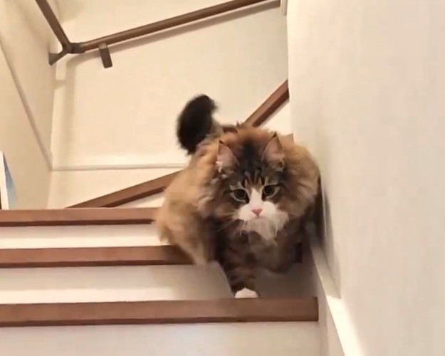 階段を下りる