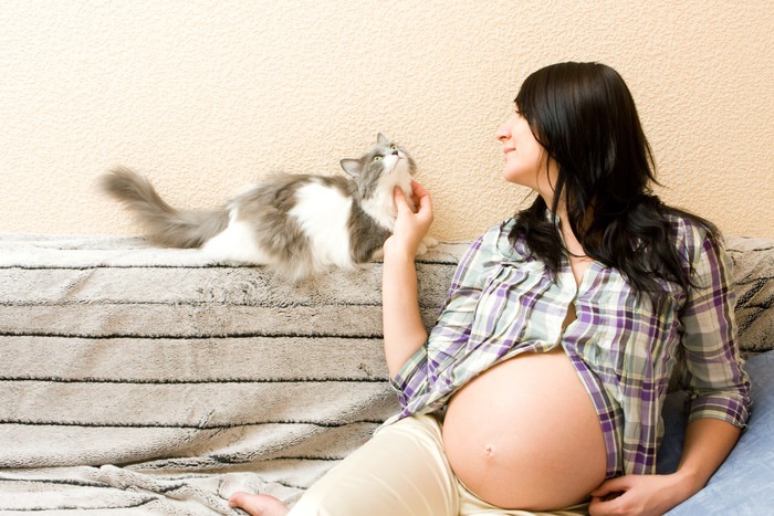 妊婦と猫