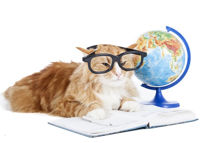 地球儀と眼鏡をかけて本を読む猫