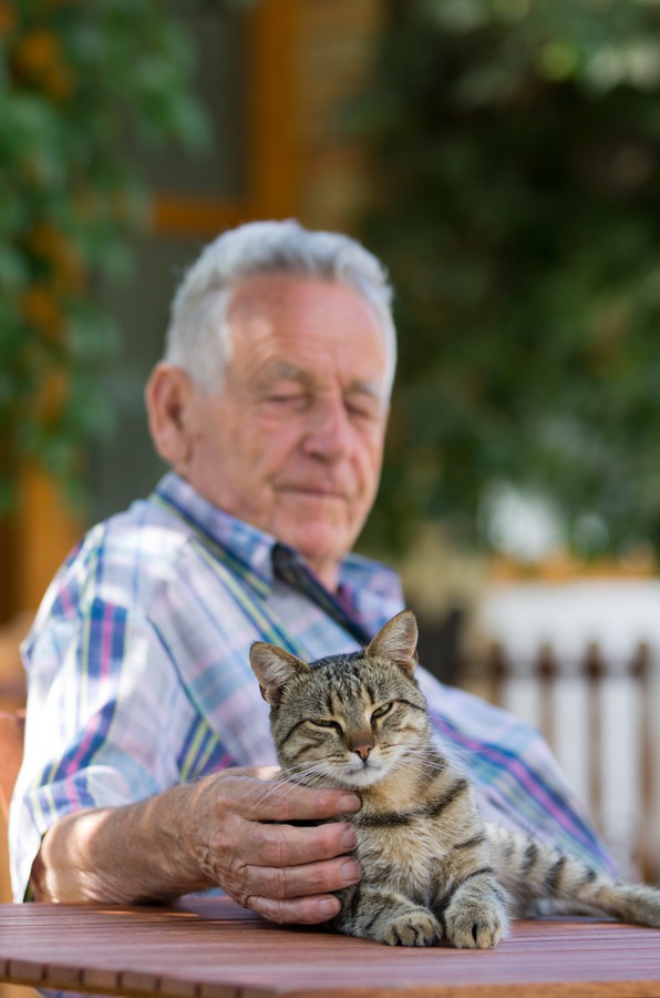 老人と猫