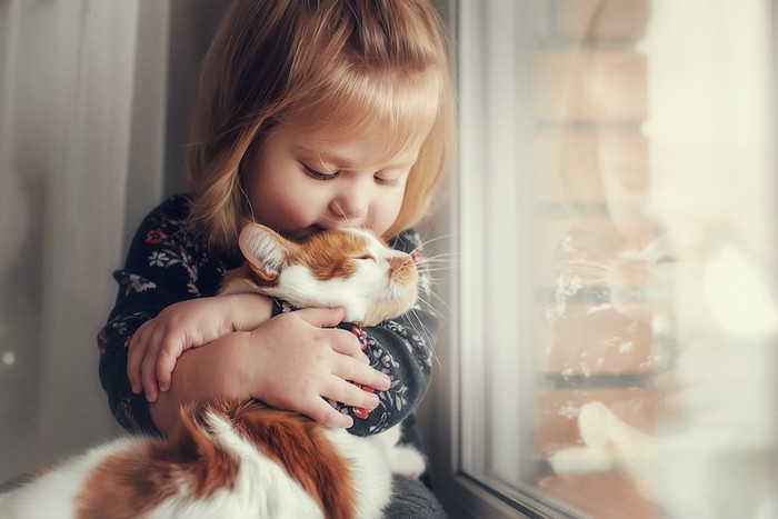 窓辺で子供に抱きしめられる猫
