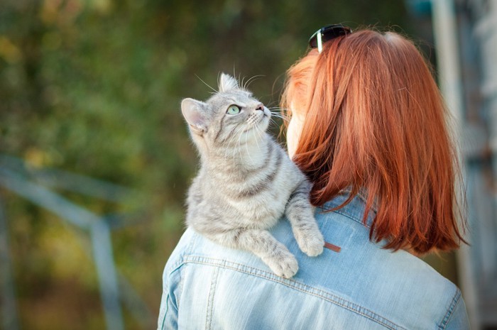 女性の肩に登る猫