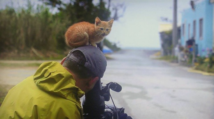 岩合さんの頭の上に乗る猫