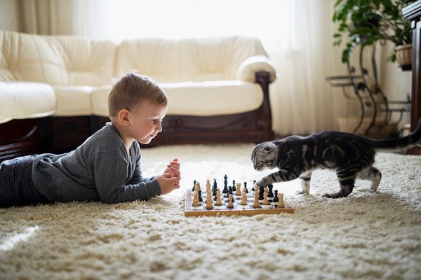 チェスをする猫と子供