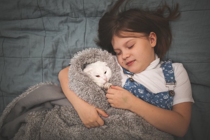 ベッドで一緒に眠る猫と女の子