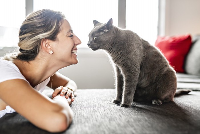 座っている猫を笑顔で見つめる女性
