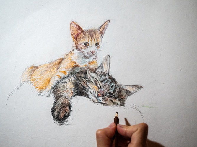 猫の絵を描く人の手