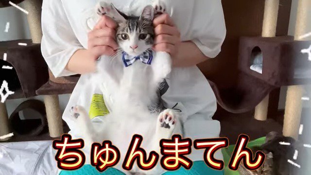 自己紹介をするママさんとくぅちゃん