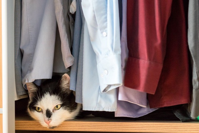 クローゼットの服の下から覗く猫