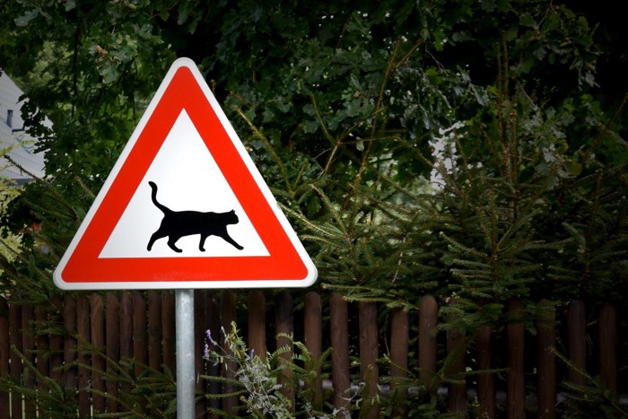 猫の道路標識