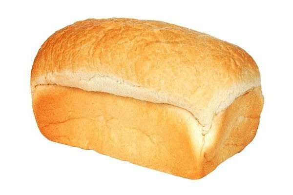 猫の香箱座りに似たパン