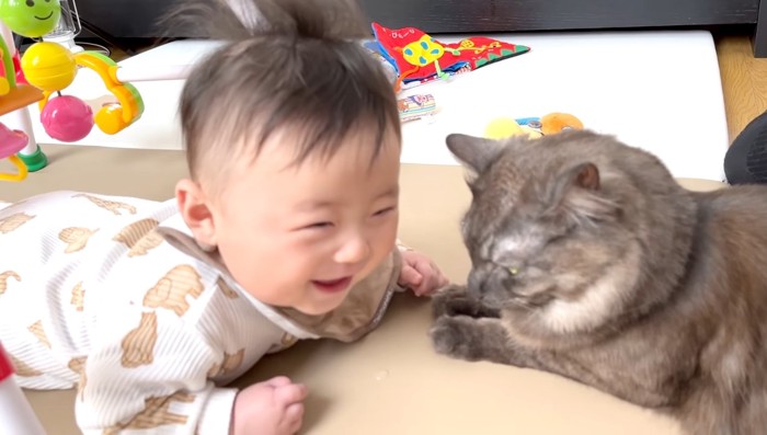 向き合う赤ちゃんと猫