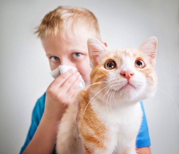 鼻をかむ少年と猫