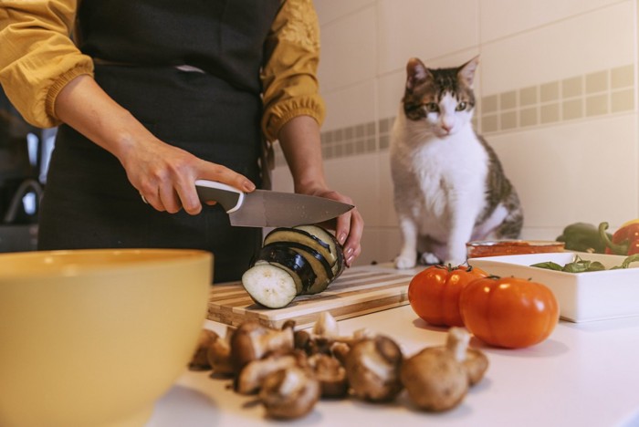猫と野菜を切る人