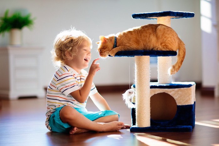 キャットタワーの上の猫と子供