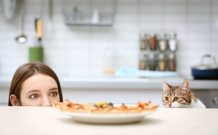 同じ視線でテーブルの上のご飯を狙う人と猫