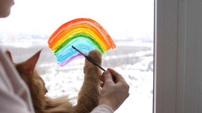 虹を描く猫