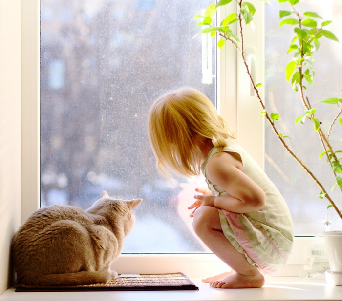 窓から外を覗く女の子と猫の写真