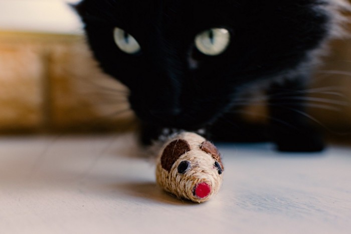 黒猫とねずみのおもちゃ