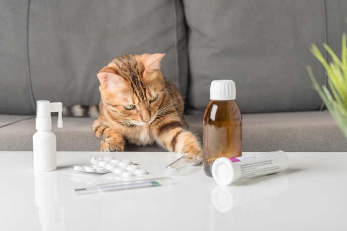 テーブルの上に散らかった薬と猫