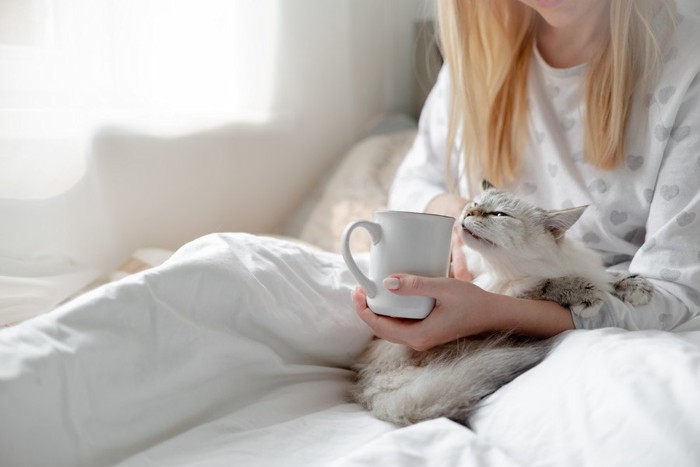 ベッドの上でマグカップを持つ女性と猫