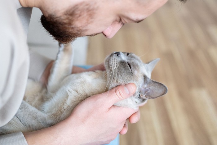 男性に抱かれた猫