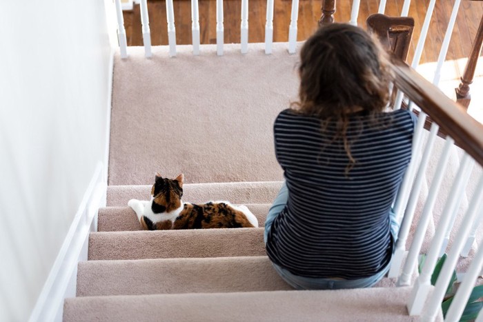 階段で座っている猫と女性