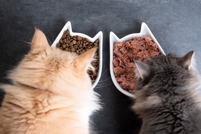 猫型の食器で食事する猫