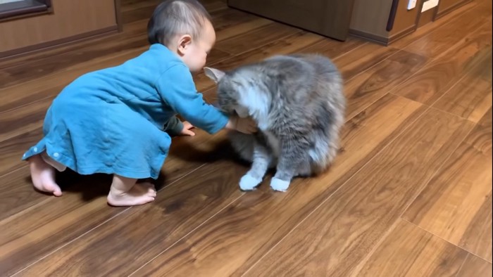 赤ちゃんの手を噛む猫